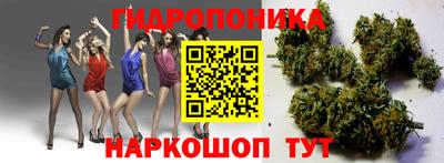 стафф Заволжье