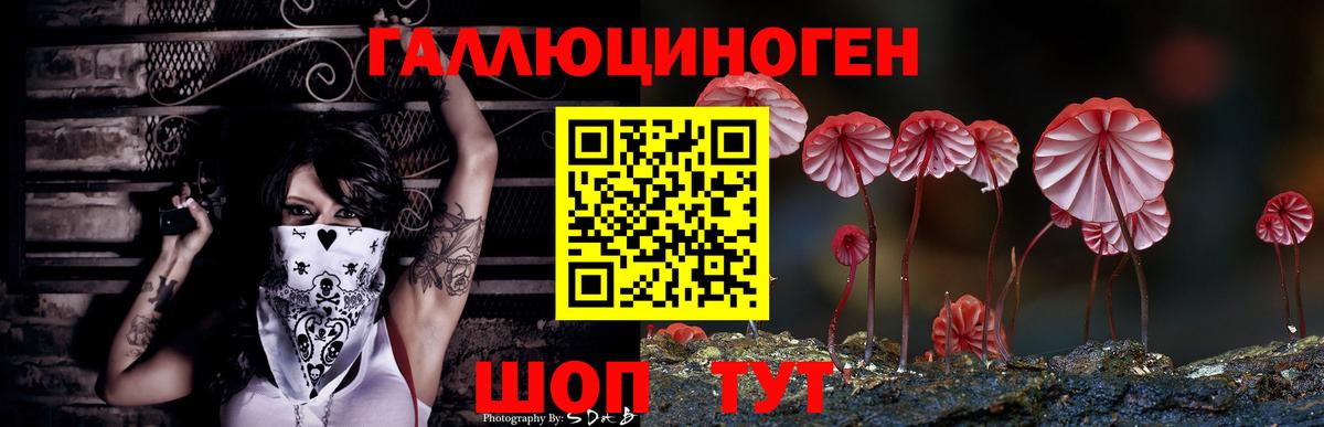 Псилоцибиновые грибы Psilocybe Ярцево